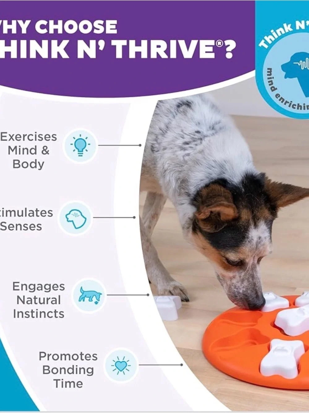 Outward Hound Nina Ottosson Dog Smart Puzzle Interactive Slow Feeder